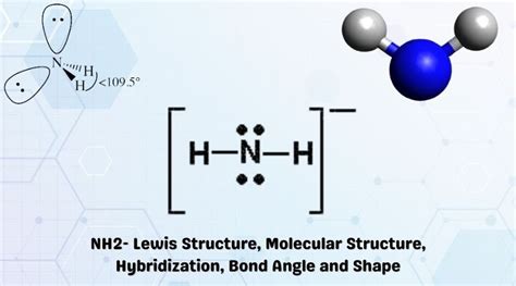 NH2- Lewis Structure, Molecular Structure, Hybridization, Bond Angle ...