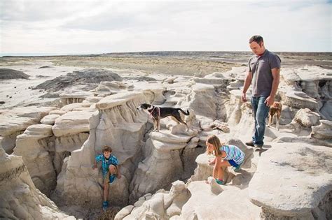 Bisti De Na Zin Wilderness New Mexico Map – Get Map Update