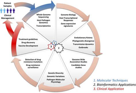 Applications Of Phylogenetics To Health And Medicine - MedicineWalls