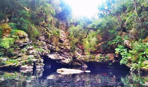 Roodepoort Hiking Trails: Exploring the Wilderness on Foot - Joey Journeys