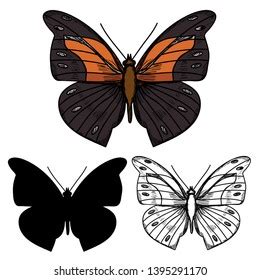 Butterfly Sketch Silhouette Orange Stock Vector (Royalty Free ...