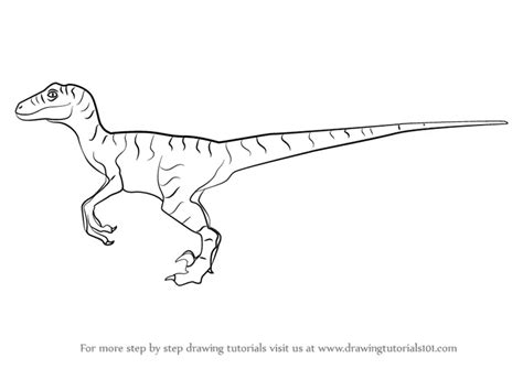 Learn How to Draw a Velociraptor Dinosaur (Dinosaurs) Step by Step ...