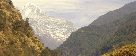 Annapurna & Wildlife - Sherpa Holidays