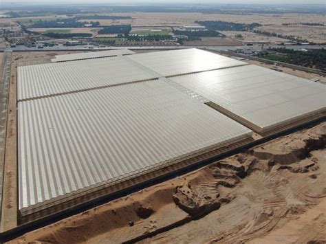 Dava Agricultural to build another 23-hectare greenhouse in Saudi Arabia