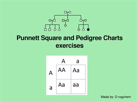 Biology: punnett square problems and interpretation of pedigree charts ...