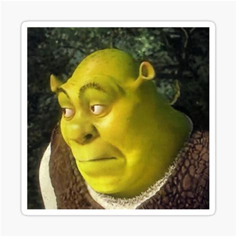 "Shrek Face Meme" Sticker for Sale by mylifeasgaia | Redbubble