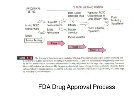 PPT - FDA Drug Approval Process PowerPoint Presentation, free download ...