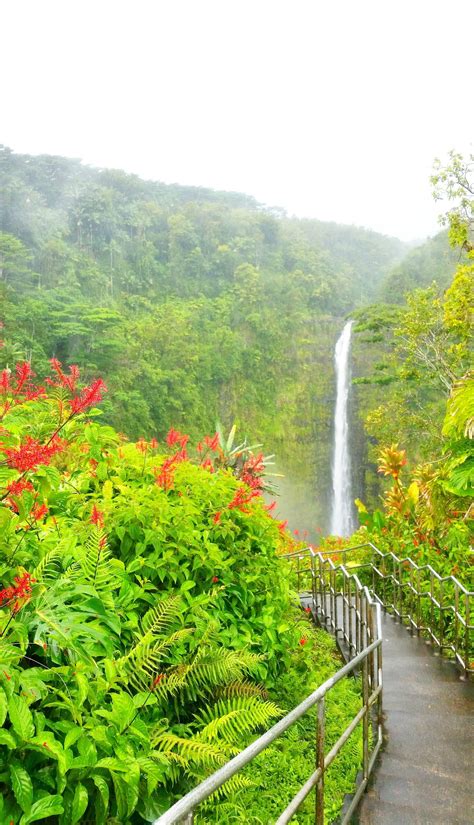 Akaka Falls loop trail in Hawaii: Hike the circle route to waterfalls ...