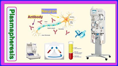 plasmapheresis - YouTube