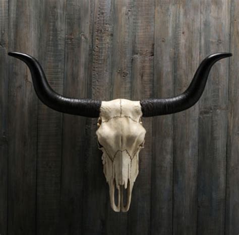 Longhorn Skull Wall Sculpture | Unicorn Studios