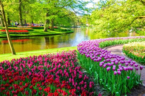 Keukenhof Park: tickets, timetables and useful information for the ...