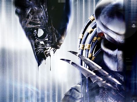 Aliens Vs Predator 2022 Wallpaper