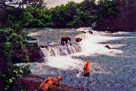 Brooks Falls Photograph by Martin Massari - Fine Art America