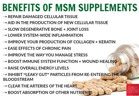 Linda's Voice: Benefits of MSM Supplements