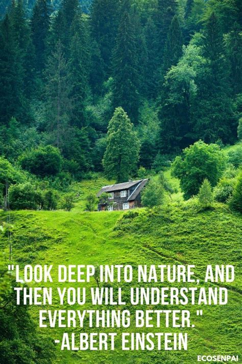 Appreciate Nature Quotes - ShortQuotes.cc