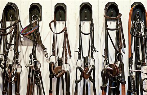 Horse Riding Equipment Photograph by John Greim/science Photo Library ...