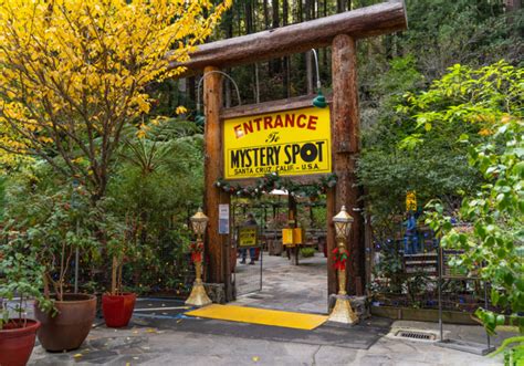 The Truth Behind the Santa Cruz Mystery Spot - Beachnest Vacation Rentals