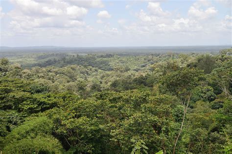 Guiana Amazonian Park: A Jewel of Biodiversity & Cultural Heritage ...