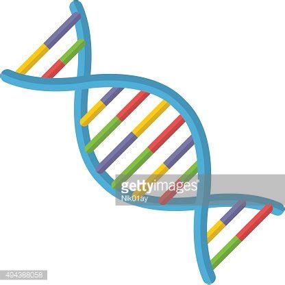 Dna Stock Clipart | Royalty-Free | FreeImages