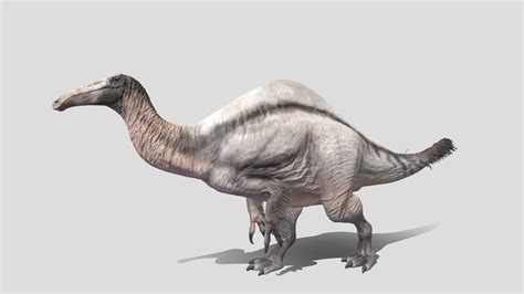 Deinocheirus - Animated 3D Model - 3D model by Digital Duck ...