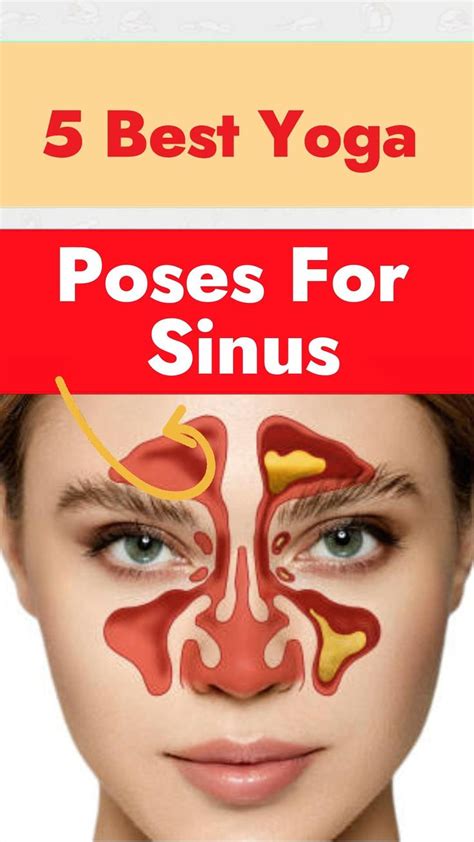 5 Best Yoga Poses For Sinus in 2023 | Daily yoga workout, Learn yoga ...