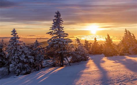 Snowy Forest At Sunrise Wallpapers - Wallpaper Cave