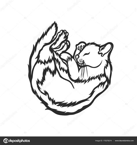 Curled Up Cat Drawing at GetDrawings | Free download