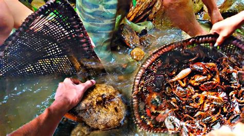 Crab Fishing From Fresh Stream 😱|| Fish Catching Using Traditional ...