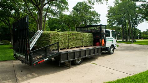 New Sod Care Guide: When to Water, Mow, & Fertilize New Sod in North Texas