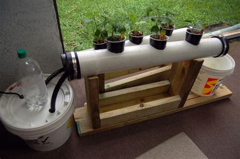 Simple DIY Hydroponic Systems To Implement In Your Indoor Garden