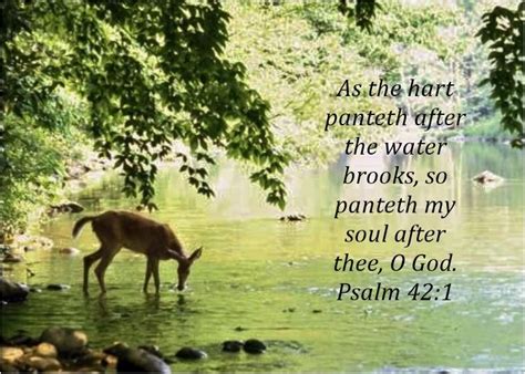 Down by the Creek Psalm 42:1 | Psalm 42, Psalms, Hope in god