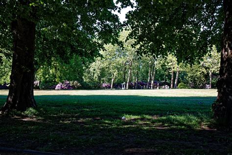 City of London Cemetery Lawn and Central Avenue 3 | Photogra… | Flickr