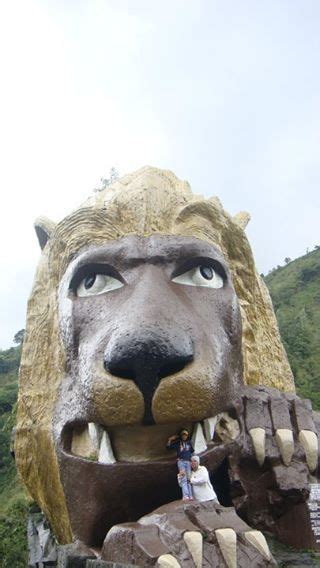 the LION's HEAD, Baguio City | Lion sculpture, Baguio city, Lion head