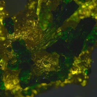 Layer structure for (1,2,3-TMP)CuCl3(H2O) showing the CuCl3(H2O ...