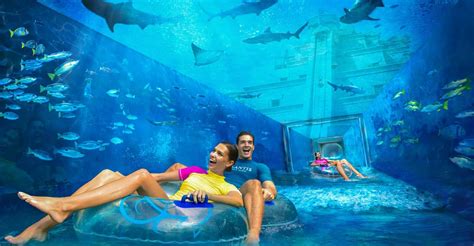 Dubai: Atlantis Aquaventure & Lost Chambers Aquarium Ticket | GetYourGuide