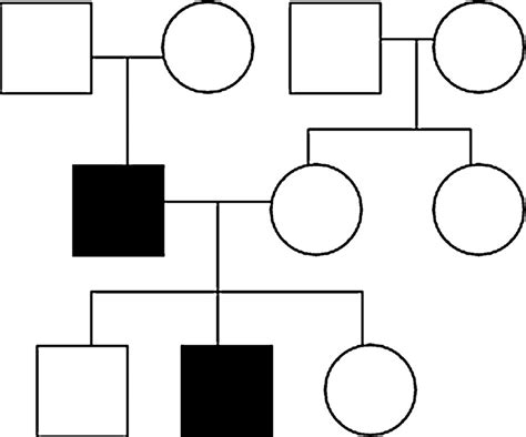 Pedigree of the patient. | Download Scientific Diagram