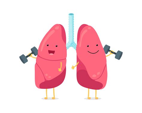 Cute cartoon funny lungs character with dumbbells. Strong smiling lung ...