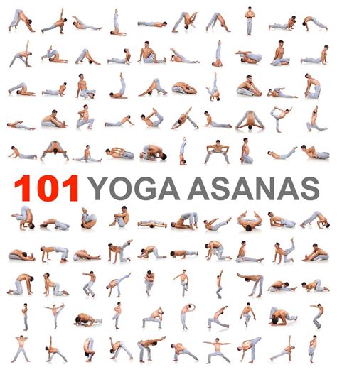 Yoga 101 The Heart And Core Of Popular Yoga Poses