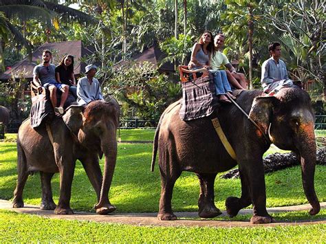 Elephant Safari Ride Bali - Mason Adventures (Bali Adventure Tours)