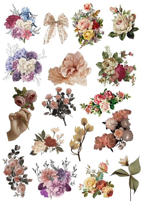 Aesthetic flower png card stickers vintage in 2023 | Vintage aesthetic ...