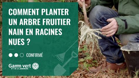 Comment planter un arbre fruitier en racines nues ? - Gamm vert