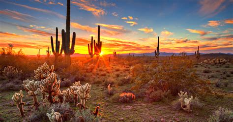 Why Arizona doesn't observe daylight-saving time