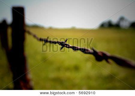 Barb Wire Fence Image & Photo (Free Trial) | Bigstock