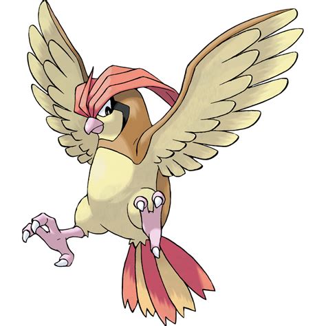 Pidgeotto Pokemon PNG Clipart - PNG Mart