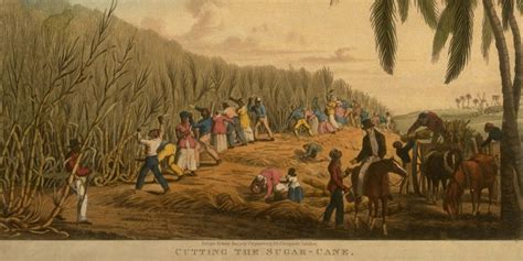 African Slaves In The Caribbean – Telegraph