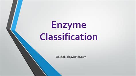 Enzyme classification with examples - Online Biology Notes