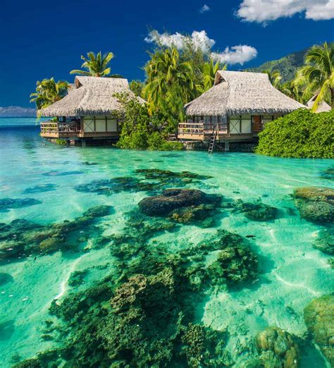 Best Tahiti Honeymoon Packages 2021-2022 | Zicasso