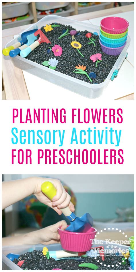 Sensory Garden Activities