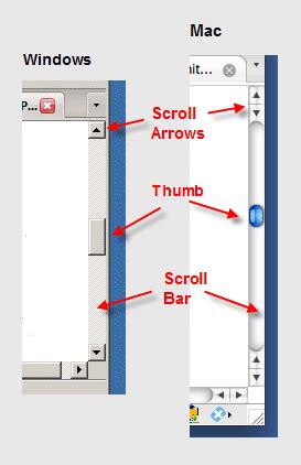 What Is the Purpose of the Scroll Bar