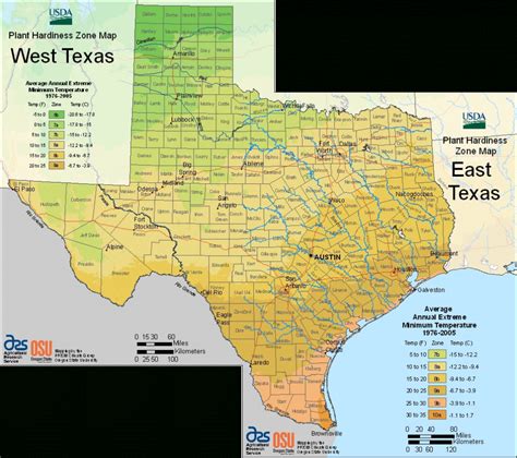 Texas Planting Zones Map | Printable Maps